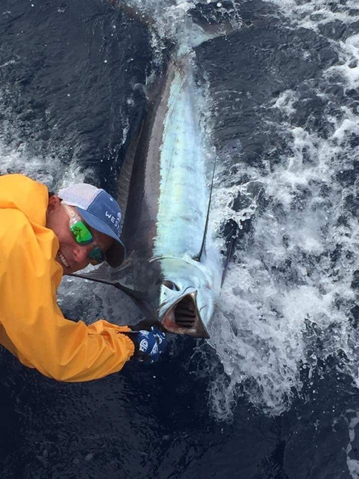 Marinero sujetando un gran marlín azul en Cabo Verde