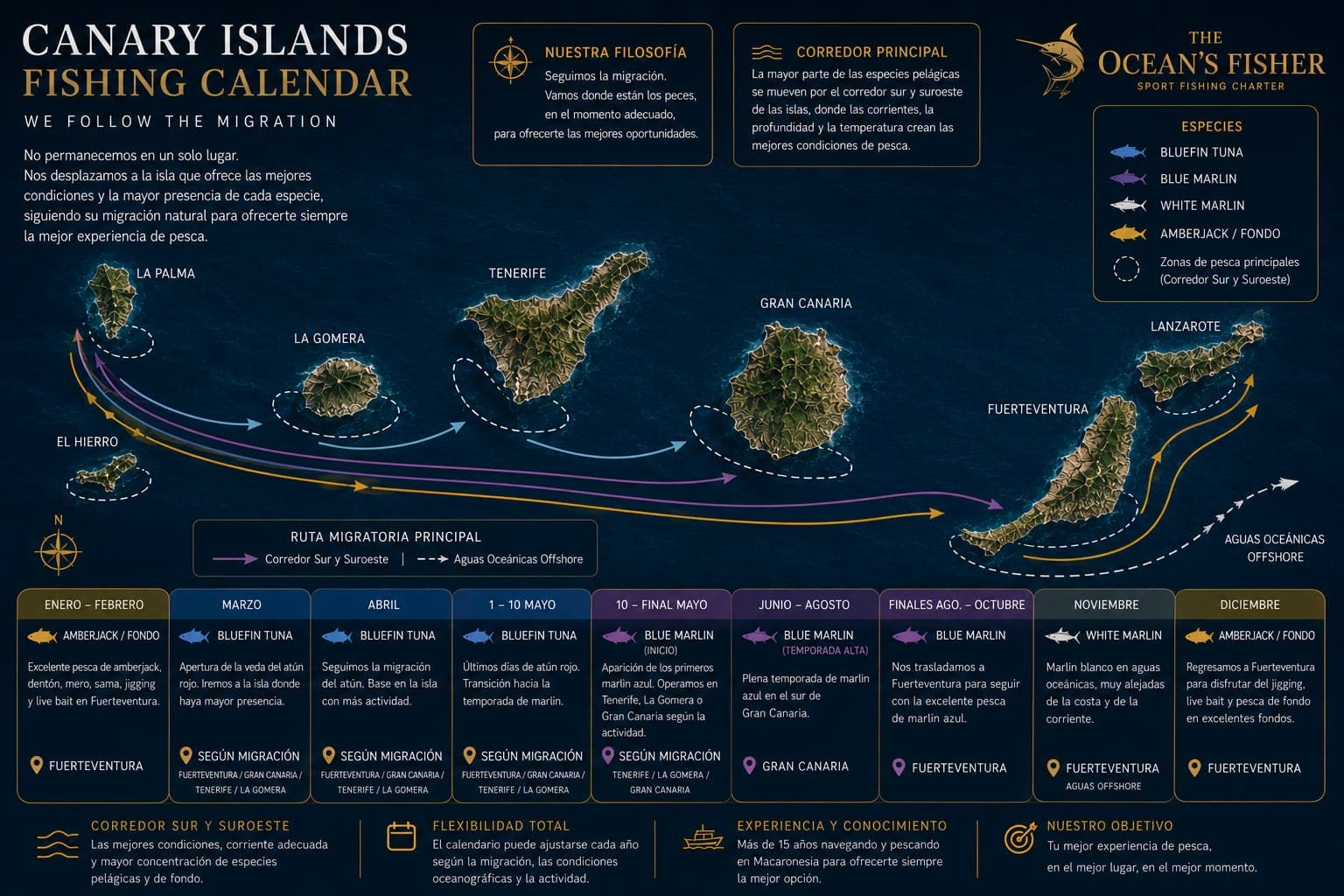 Calendario de pesca de las Islas Canarias: migración de las especies por temporada entre Fuerteventura, Gran Canaria, Tenerife y La Gomera