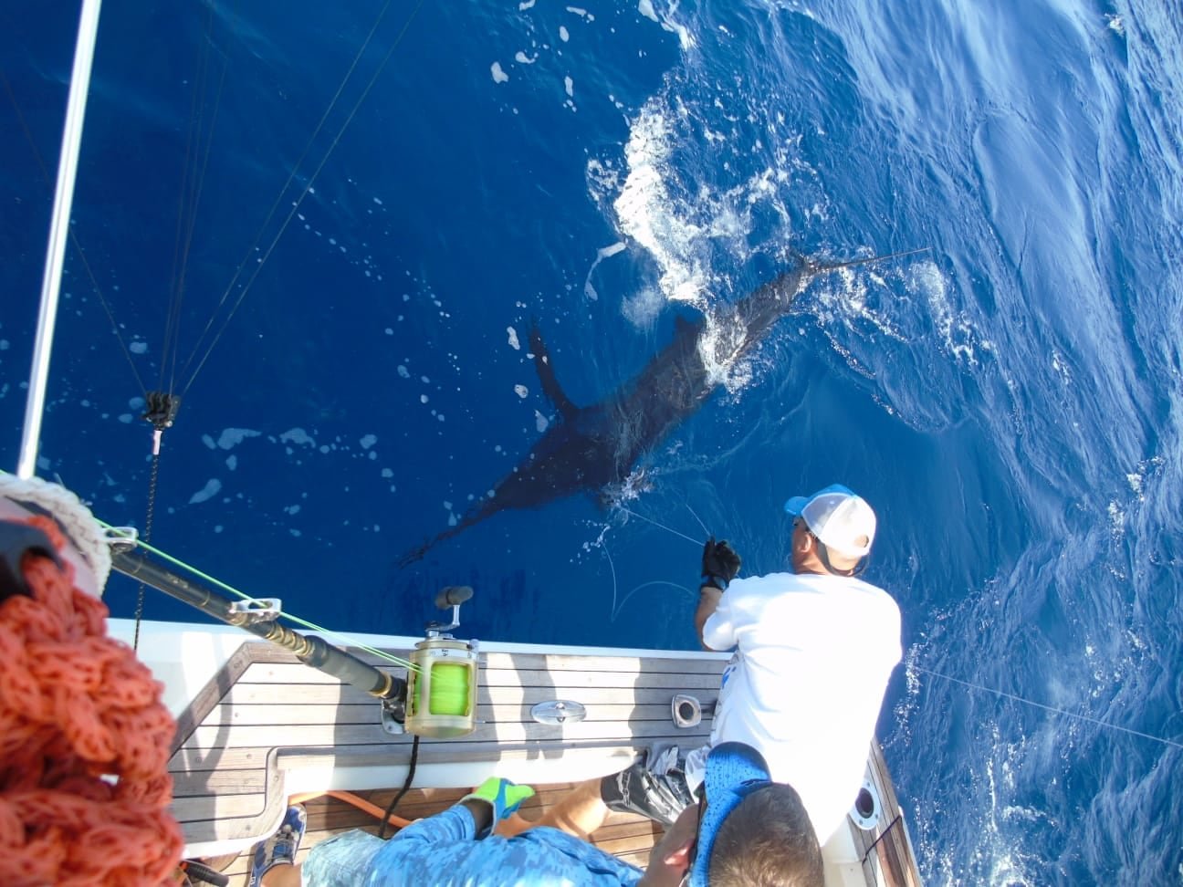Tripulación cobrando un gran marlín azul