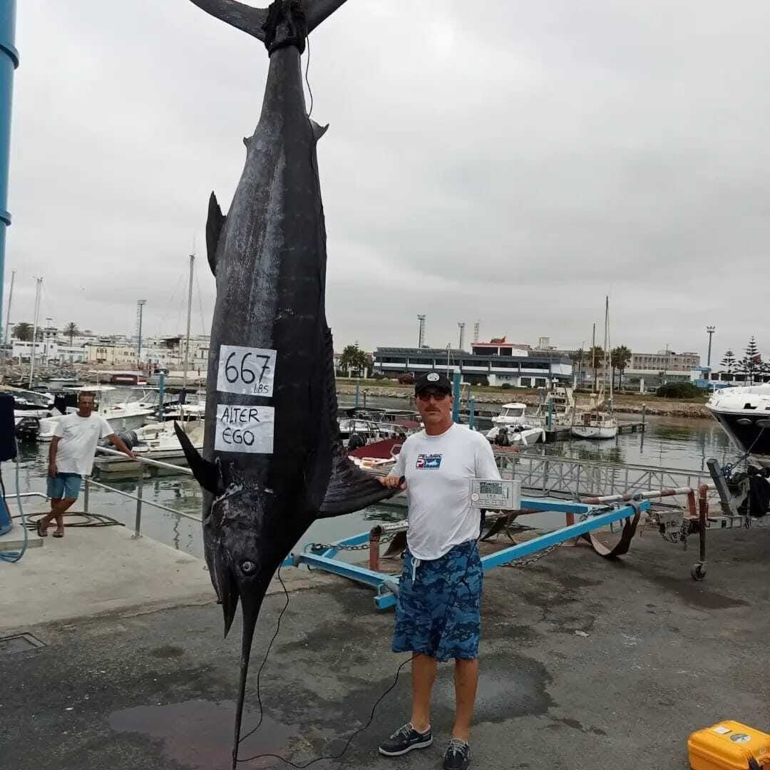 Marlín azul de 667 libras capturado en Marruecos